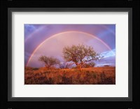Arizona Rainbow Fine Art Print