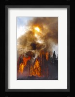 Torching Fine Art Print
