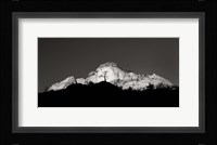 Zion Tree Silhouette Fine Art Print