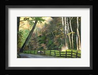 Cuttalossa Fine Art Print