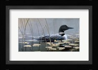 Loon In Reeds Fine Art Print