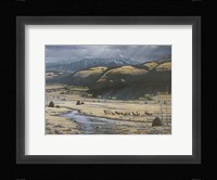 Big Valley Elk Fine Art Print