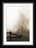 Early Morning I Framed Print