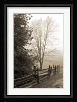 Early Morning II Framed Print