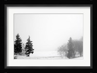 Contrast Fine Art Print