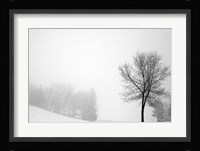 Sentinel Fine Art Print