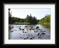 Chippewa Summer I Fine Art Print