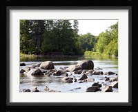 Chippewa Summer II Fine Art Print