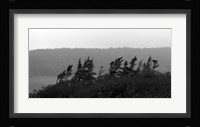 View from the Cape II Fine Art Print