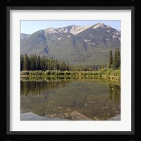 Reflections II Framed Print