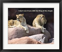 King of the Jungle Lion Fine Art Print