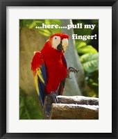 Parrot II with Words Fine Art Print
