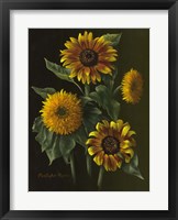 Four Sunflowers Fine Art Print