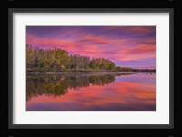 Autumn Splendor Fine Art Print