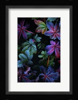 Frosty Fall Fine Art Print