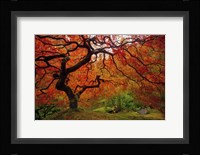 Tree Fire Fine Art Print