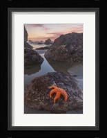 Battle Rock Sunrise Fine Art Print