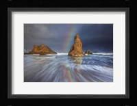 Seagull Storm Watch Fine Art Print