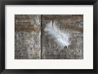 Feather on Wood II Fine Art Print