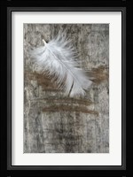 White Feather on Wood Framed Print