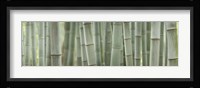 Grey Bamboo Scape Fine Art Print