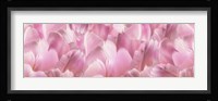 Pink Tulip Scape Fine Art Print