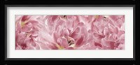 Pink Tulips Scape Fine Art Print
