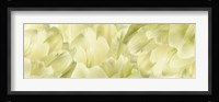 Yellow Tulip Scape Fine Art Print