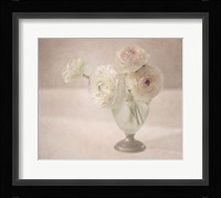 White Persian Buttercups Posy Fine Art Print