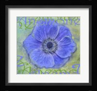 Anemone Fine Art Print