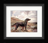 Gordon Setter Fine Art Print