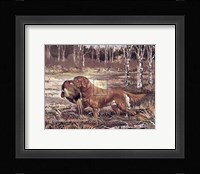 Golden Retriever Fine Art Print