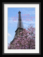 J'aime les Fleur de Paris Fine Art Print