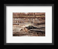 Bramshaw Bob Swimming (Lge) Fine Art Print