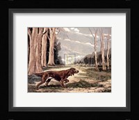 Red Setter (Lge) Fine Art Print