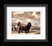 Cockers Fine Art Print