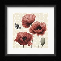 Poppy Buzz I Framed Print