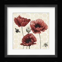 Poppy Buzz II Framed Print