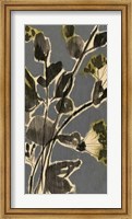 A Touch of Olive II Fine Art Print