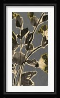 A Touch of Olive II Framed Print