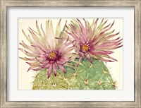 Cactus Blossoms I Fine Art Print