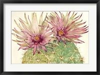 Cactus Blossoms I Framed Print