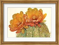 Cactus Blossoms II Fine Art Print