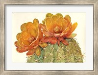 Cactus Blossoms II Fine Art Print