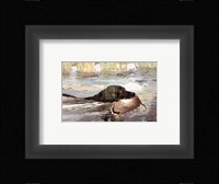 Bramshaw Bob Swimming (Sml) Fine Art Print