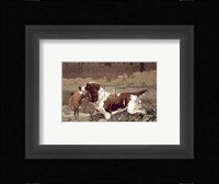 Springer and Pheasant (Small) Fine Art Print