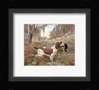 Springer and Pheasant Fine Art Print