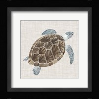 Sea Turtle I Fine Art Print