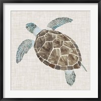 Sea Turtle II Fine Art Print