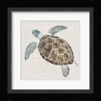 Sea Turtle II Fine Art Print